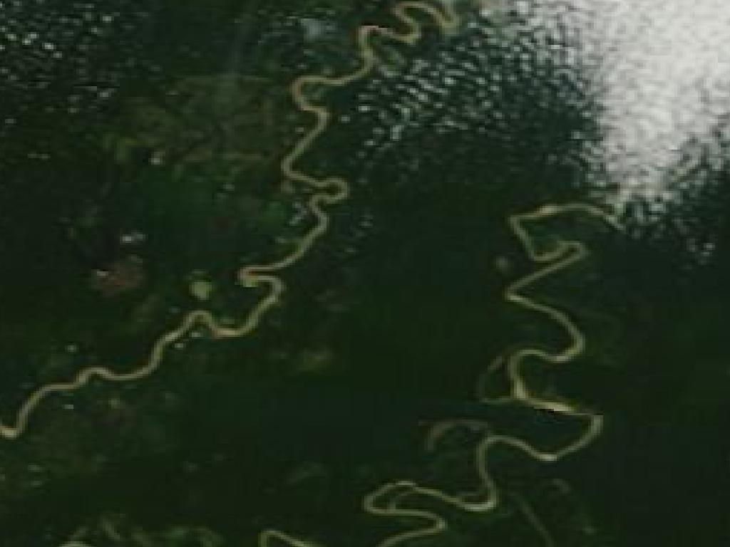 MODIS true color satellite view of the Amazon Basin showing river systems threading through dense forest canopy