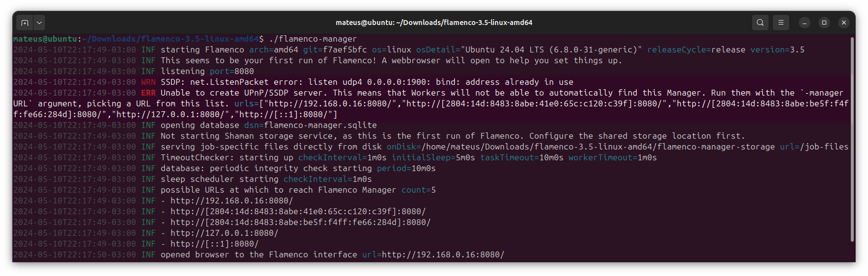 Screenshot of Flamenco Manager's log output on the terminal